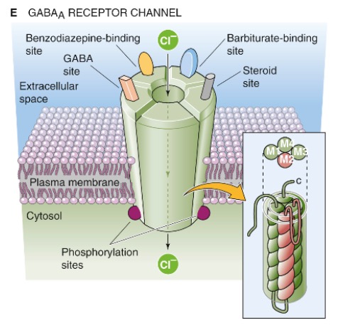GABAa receptor